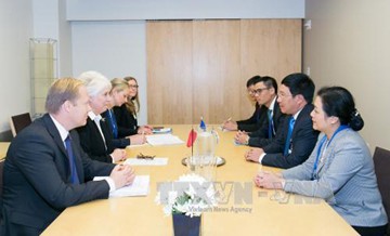 Entretiens entre Pham Binh Minh et les chefs de la diplomatie estonien et roumain - ảnh 1